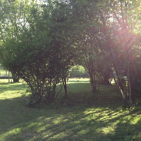 Bed & Breakfast D'hotes Les Granges Neuves Confrancon