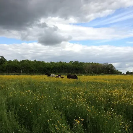 D'hotes Les Granges Neuves